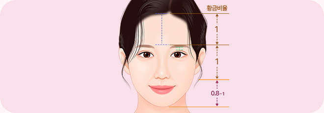 눈과 눈썹의 거리와 이마 높이 이미지